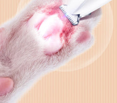 New Dog Paw Trimmer with LED Light Fully Waterproof Pet Hair Trimmer with LED Display Dog Clippers for Grooming 18mm Widen Blade