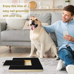 Pet wooden dog scratching board Pull-out nail grinding board Cat nail care scratching board with sandpaper scraper