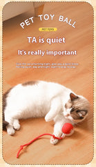 New Interactive Cat Toys Ball Auto Electric Rolling Ball Toys for Cat Kitty Pet Smart Automatic Teaser USB Rechargeable Cat Toy