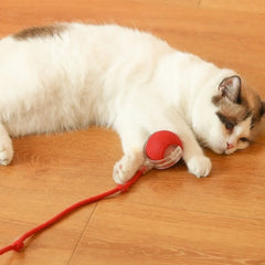 Cat Interactive Ball Toy Automatic Rolling Ball Faux Tail Smart Pet Electric Toy Cat Training Imitate Mouse Toy Pet Supplies